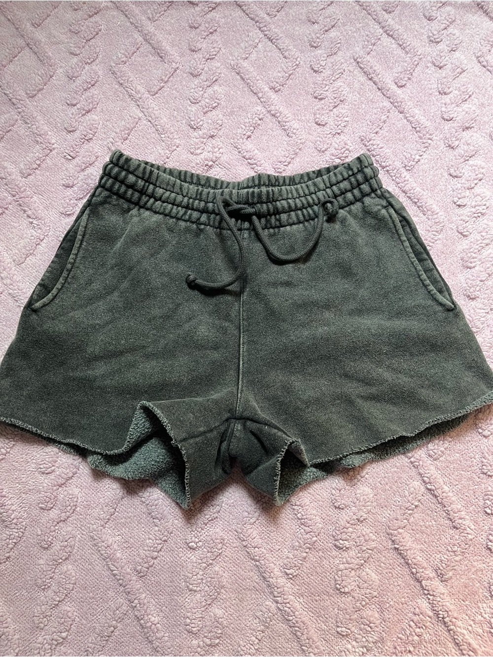 Aritzia Cozy Fleece Shorts